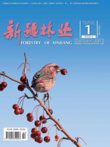 新疆林业杂志